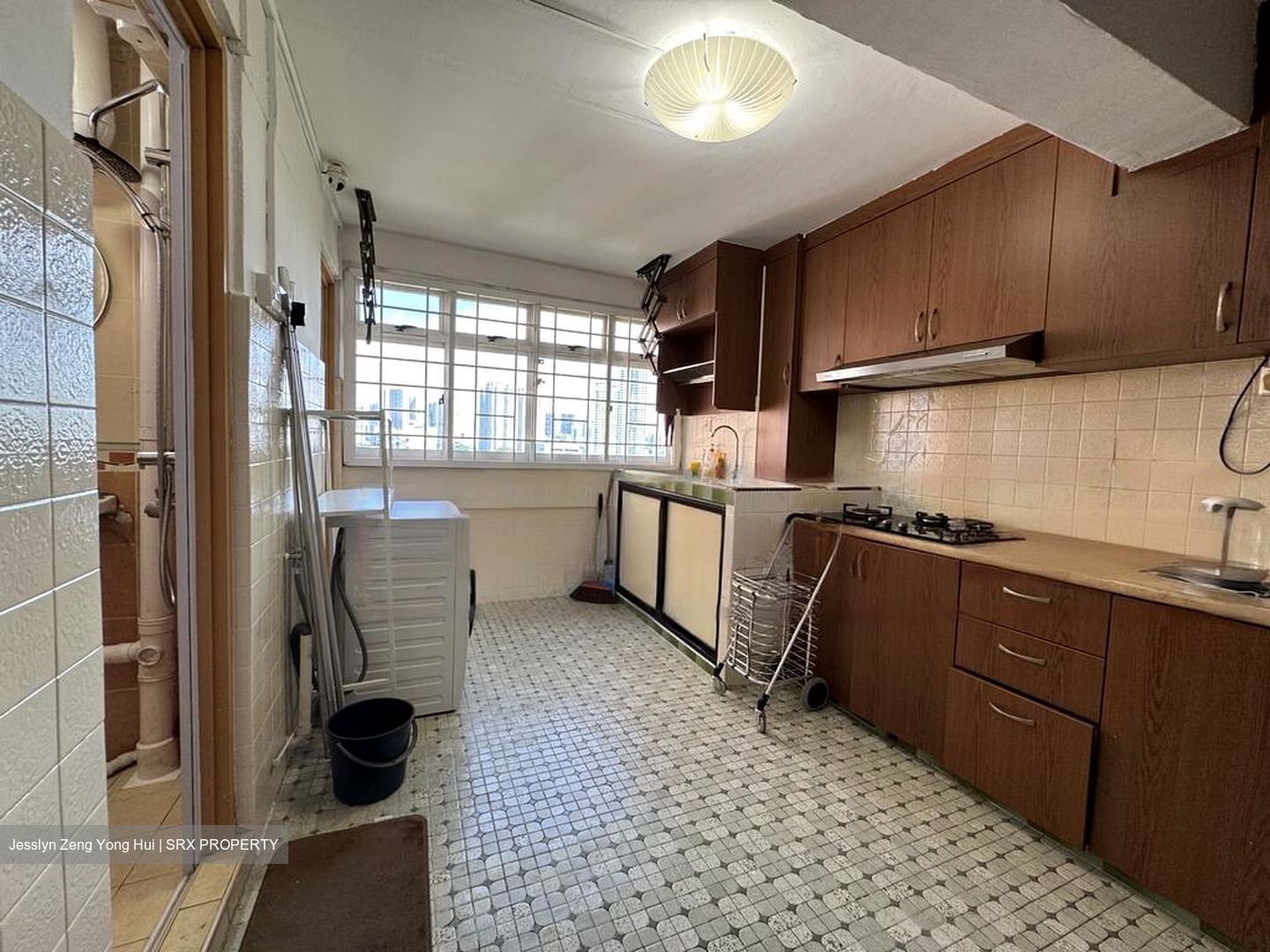 Blk 8 Holland Avenue (Queenstown), HDB 3 Rooms #485746341